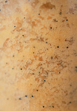 Cocoa Butter Cashmere Sugar Scrub - Bumble & Bleat Soapery