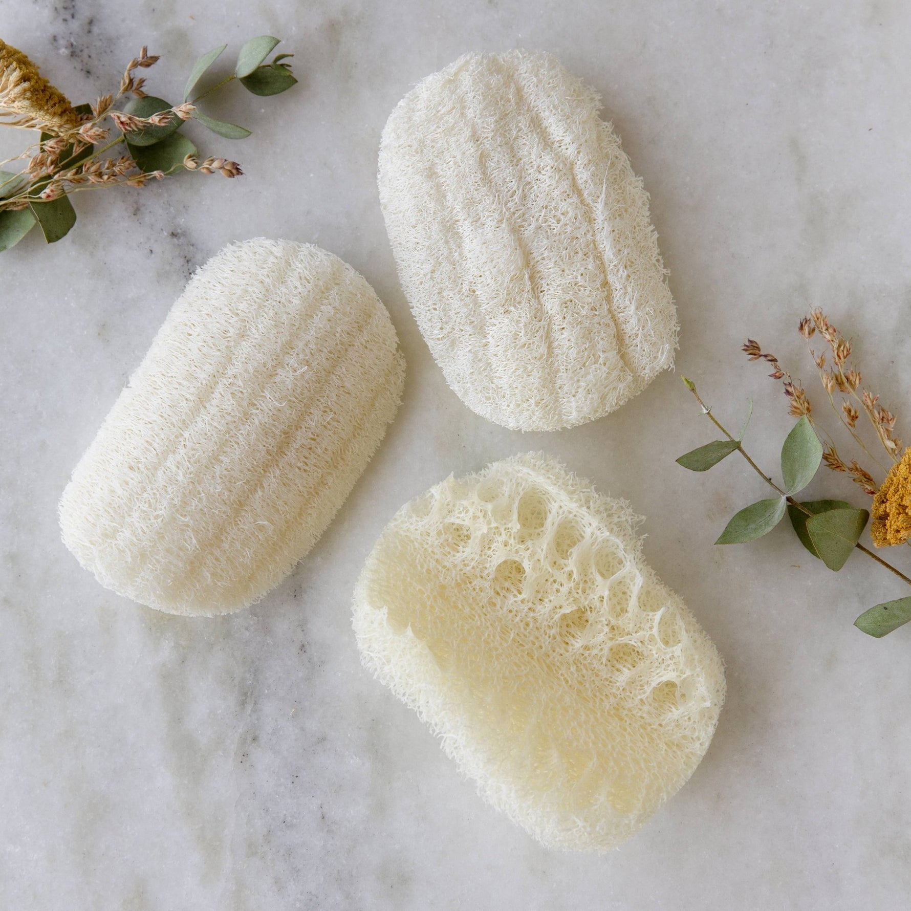 Compostable Eco Dish Sponge 3 - Pack - Bumble & Bleat Soapery
