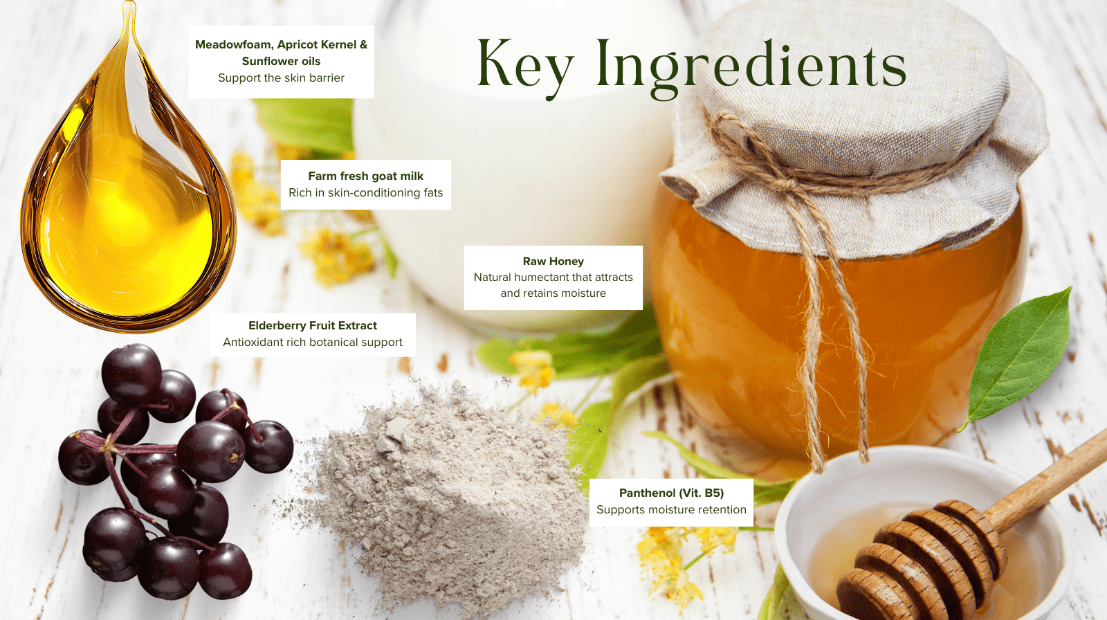 Goat Milk & Honey Lotion – Hydrating Lotion for Dry Skin - Bumble & Bleat Soapery