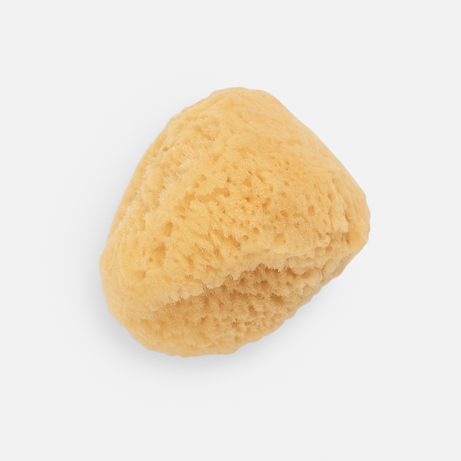 Natural Sea Sponges - Bumble & Bleat Soapery
